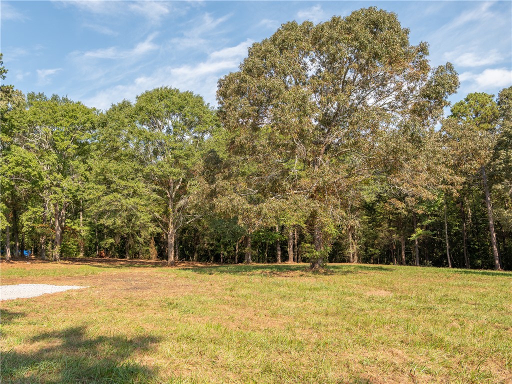 4 Gibson Road Anderson, SC 29625 - Photo 3 of 16