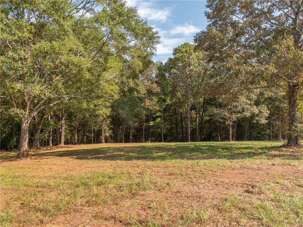 4 Gibson Road Anderson, SC 29625 - Photo 6 of 16