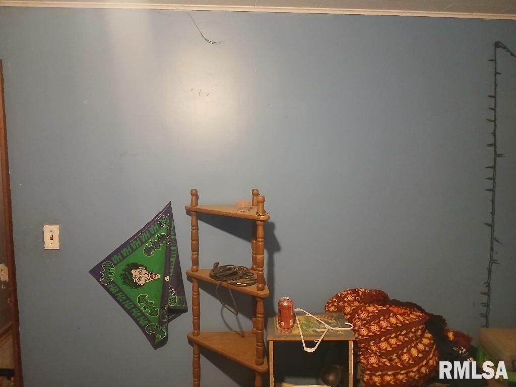 958 Kinmundy Road Louisville, IL 62858 - Photo 23 of 30