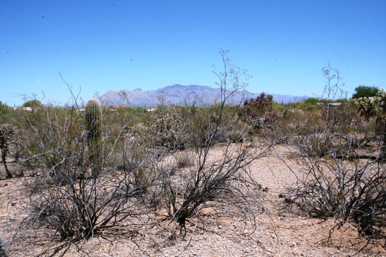 0 West Morgan Road Tucson, AZ 85745 - Photo 4 of 10