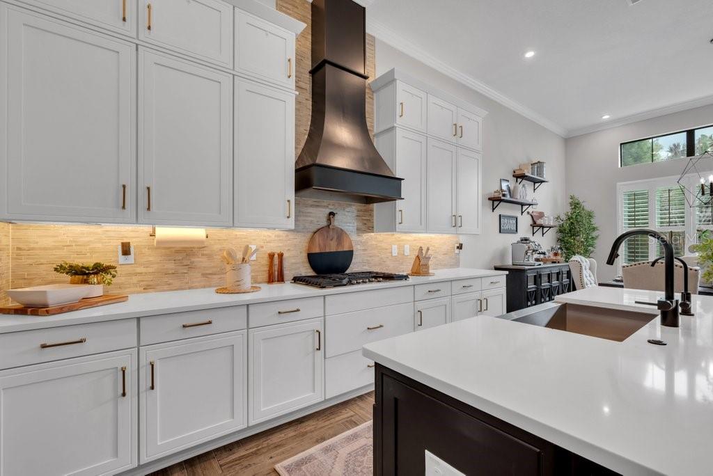 5321 Osprey Ridge Drive Lithia, FL 33547 - Photo 18 of 56