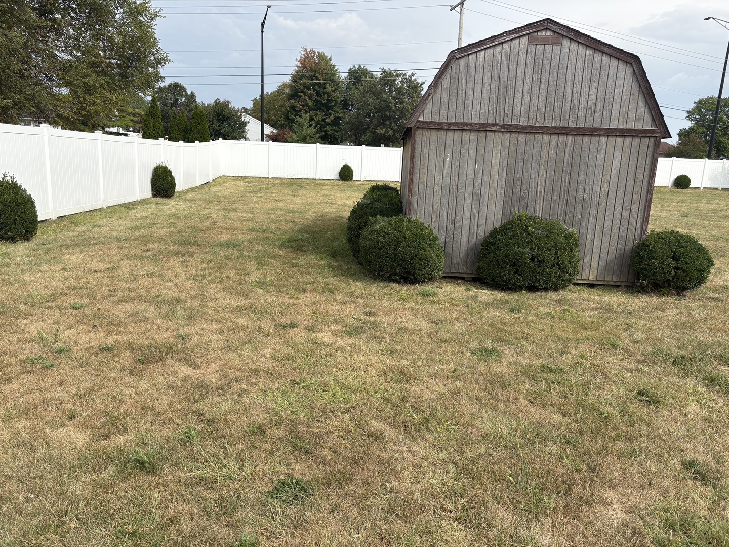 1003 Cyndy Lane Champaign, IL 61822 - Photo 23 of 25 a view of a backyard