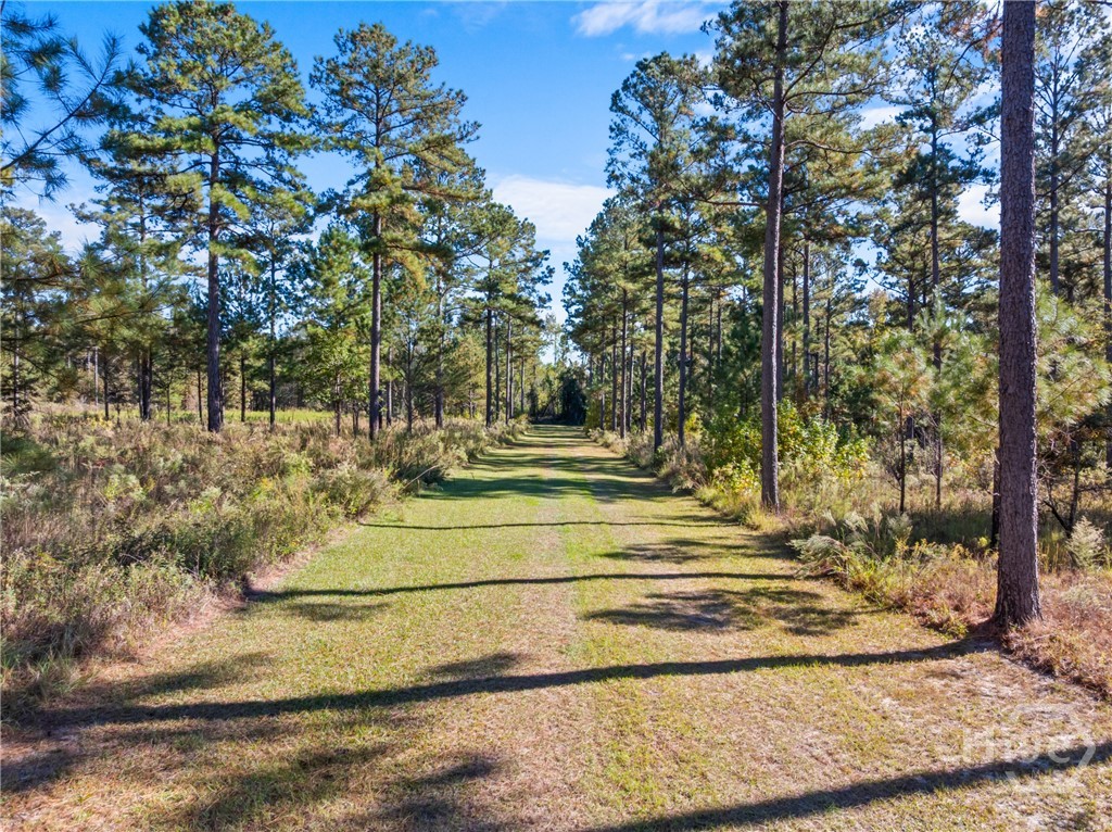 0 Honeyridge Road Millen, GA 30442 - Photo 38 of 69 Beautifully maintained throughout..