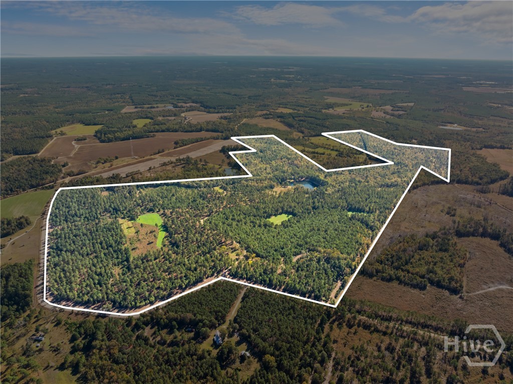 0 Honeyridge Road Millen, GA 30442 - Photo 4 of 69