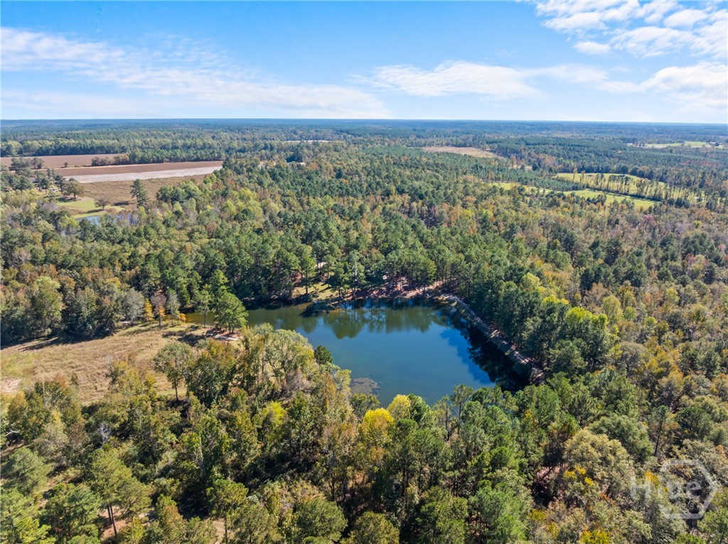 0 Honeyridge Road Millen, GA 30442 - Photo 47 of 69