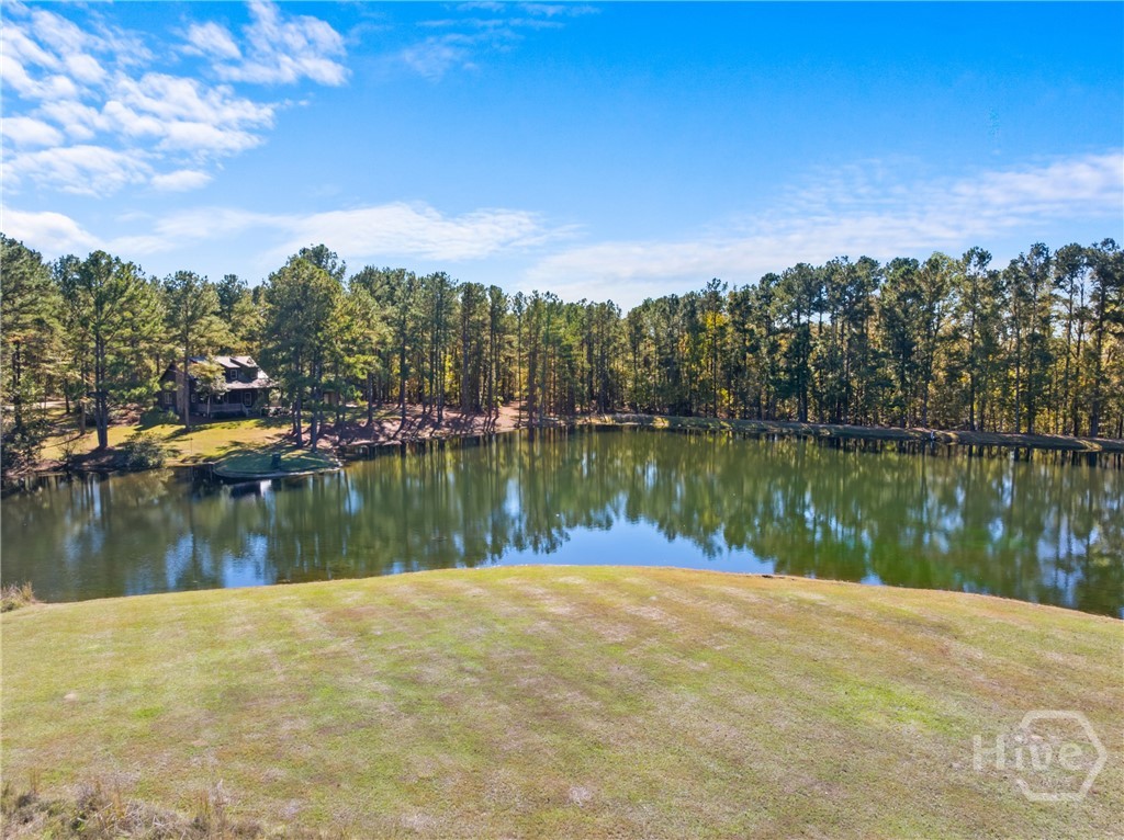 0 Honeyridge Road Millen, GA 30442 - Photo 50 of 69