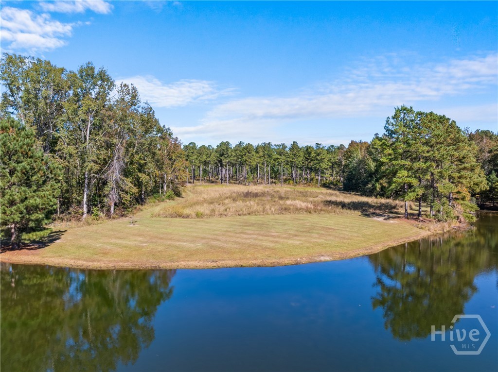 0 Honeyridge Road Millen, GA 30442 - Photo 51 of 69