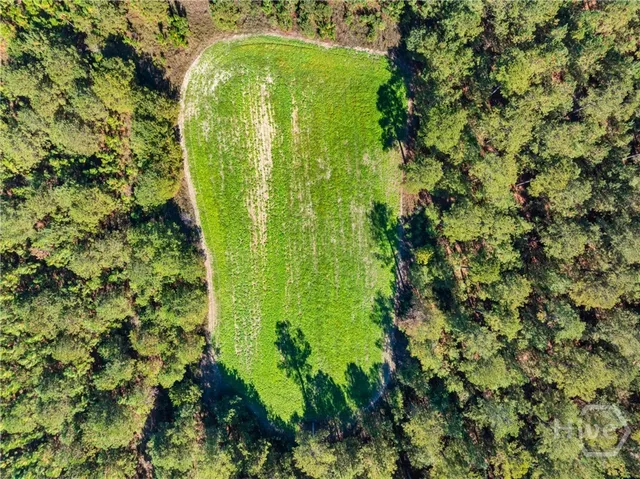 $1,800,000 | 0 Honeyridge Road, Millen, GA 30442