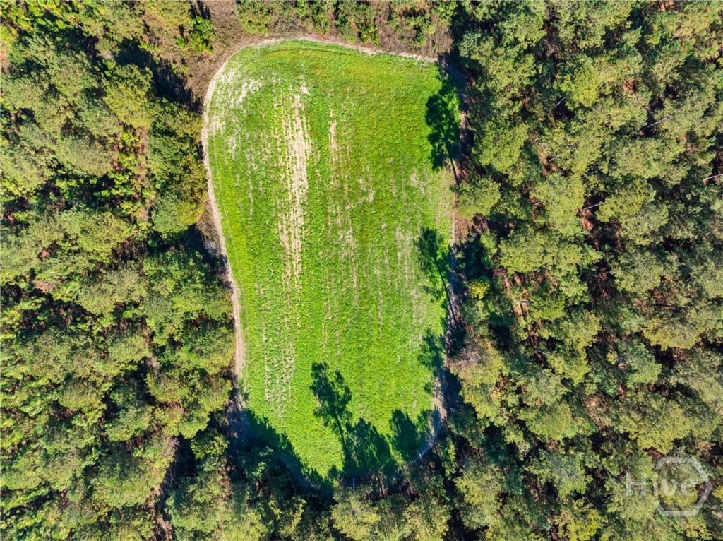 0 Honeyridge Road Millen, GA 30442 - Photo 61 of 69