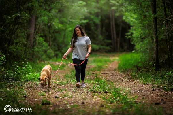 $420,000 | 21431 Llano Grande Boulevard, Porter, TX 77365