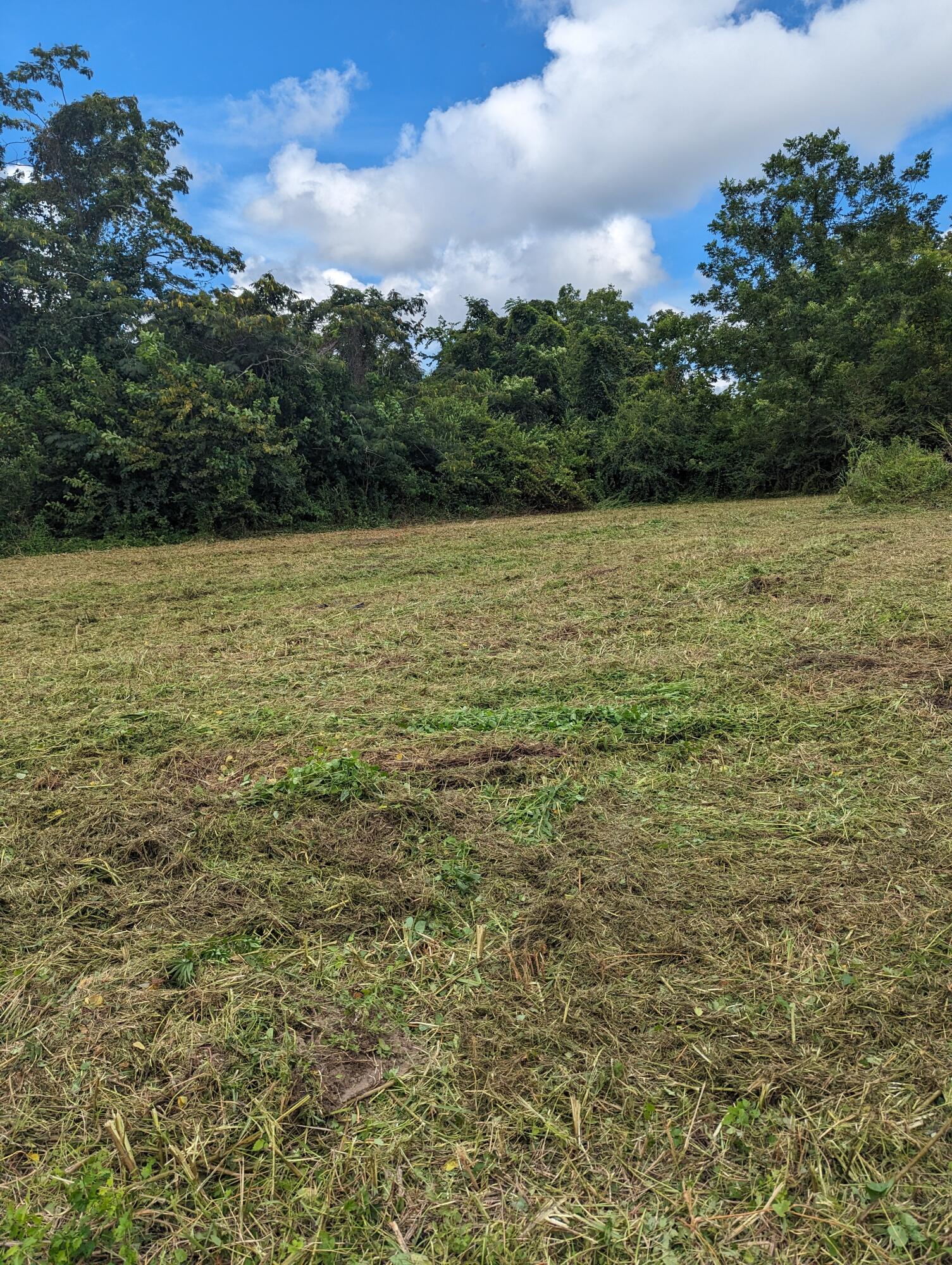 1082 Williams Road Charleston, SC 29412 - Photo 12 of 14 1082 Williams 7