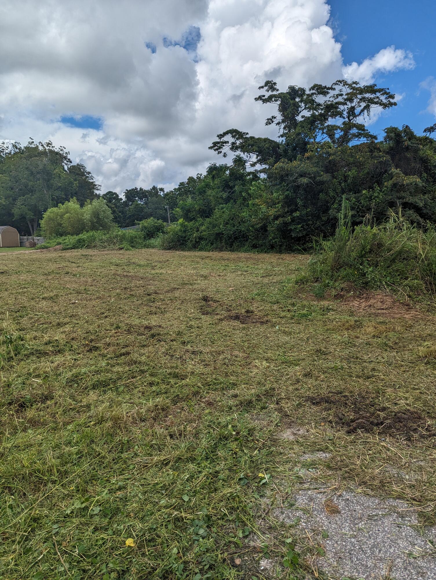 1082 Williams Road Charleston, SC 29412 - Photo 4 of 14 1082 Williams 11