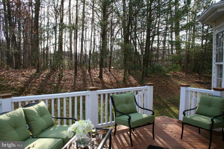 1523 Ringe Drive Severn, MD 21144 - Photo 20 of 23 Exterior (Rear)