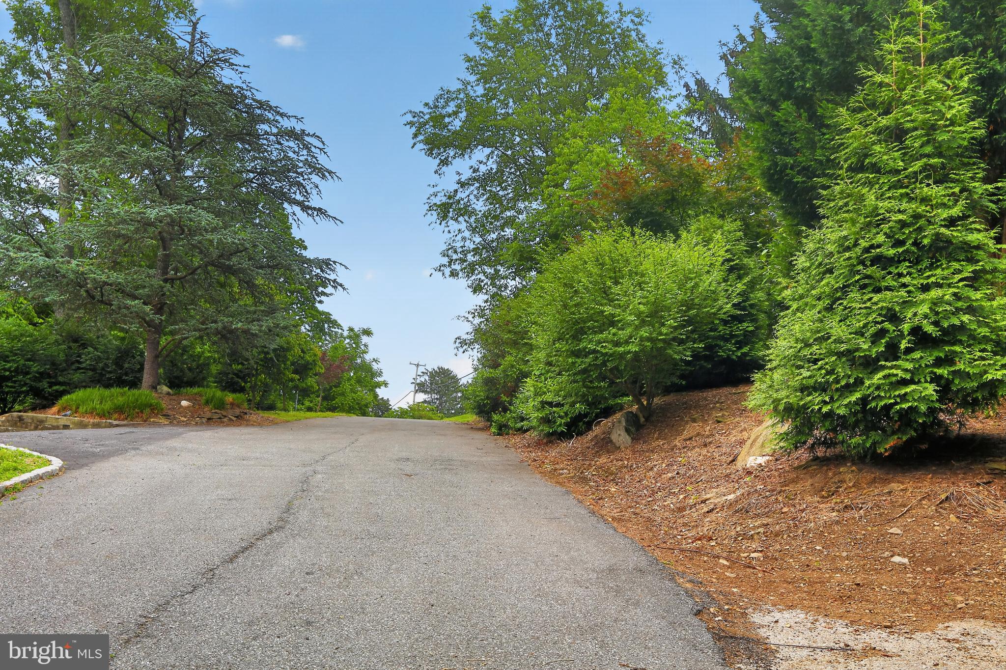 736 Black Rock Road Collegeville, PA 19426 - Photo 25 of 29 Private lane leading to house