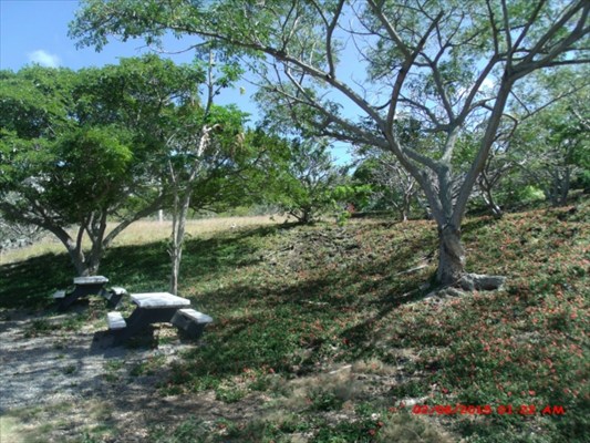 87-3198 Kihikihi Road Captain Cook, HI 96704 - Photo 13 of 18 Gallery Image 13