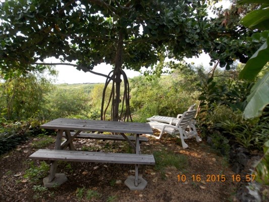 87-3198 Kihikihi Road Captain Cook, HI 96704 - Photo 18 of 18 Gallery Image 18