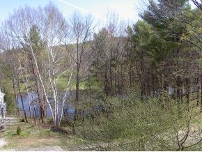 2092 Brook Road Goshen, NH 03752 - Photo 9 of 15 Gallery Image 9