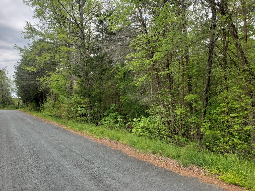 Browntown Road Prospect, VA 23960 - Photo 3 of 5 Gallery Image 3