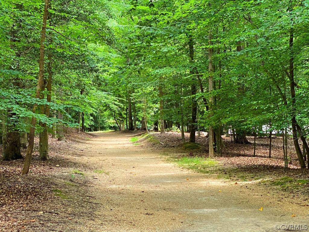 104 The Green Williamsburg, VA 23185 - Photo 50 of 50 a view of a yard with a tree
