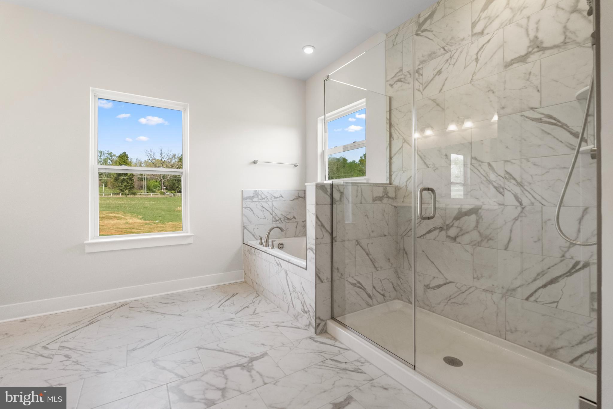 16452 Bobak Road Amissville, VA 20106 - Photo 9 of 20 Luxury Master Bath