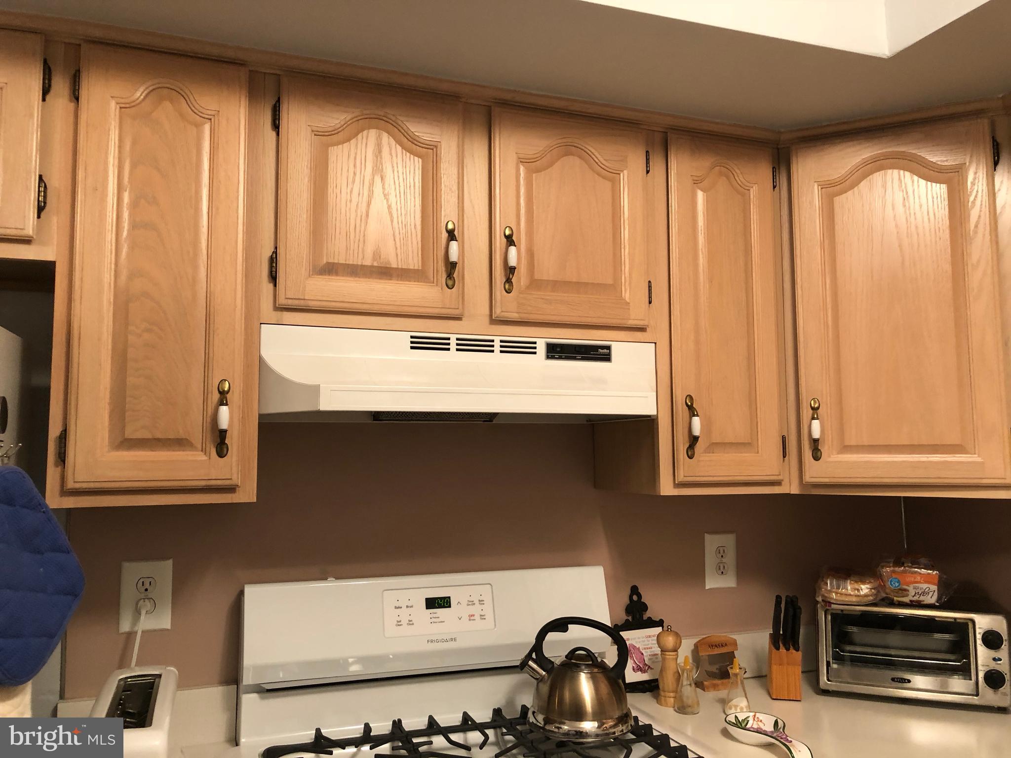 3648 Salina Road Philadelphia, PA 19154 - Photo 14 of 36 Lots of Cabinets