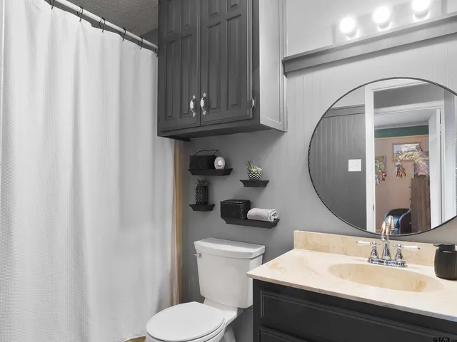 a bathroom with a sink a toilet and a mirror