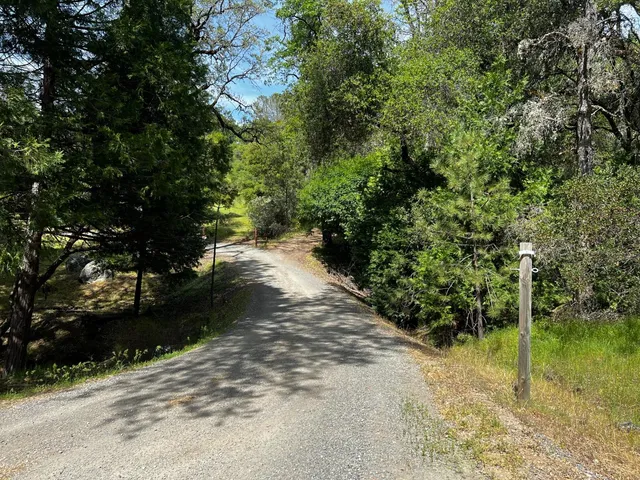 a view of a pathway both side of yard