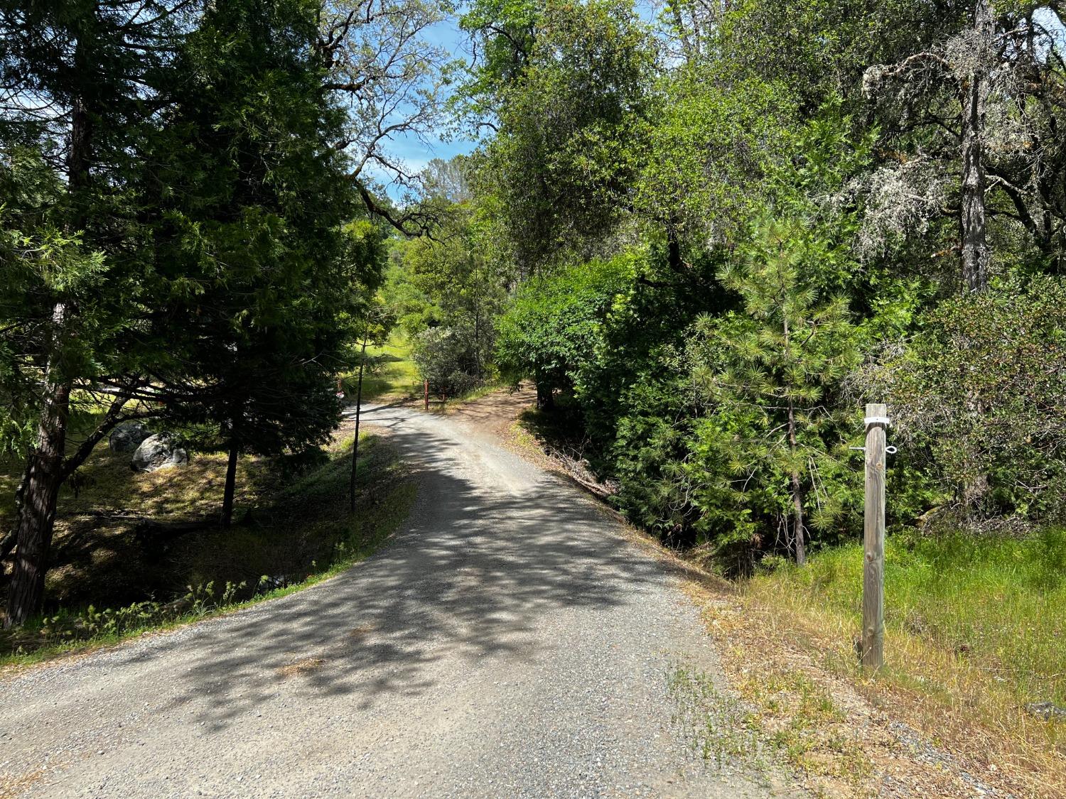 6231 Jessica Court Somerset, CA 95684 - Photo 29 of 31 a view of a pathway both side of yard