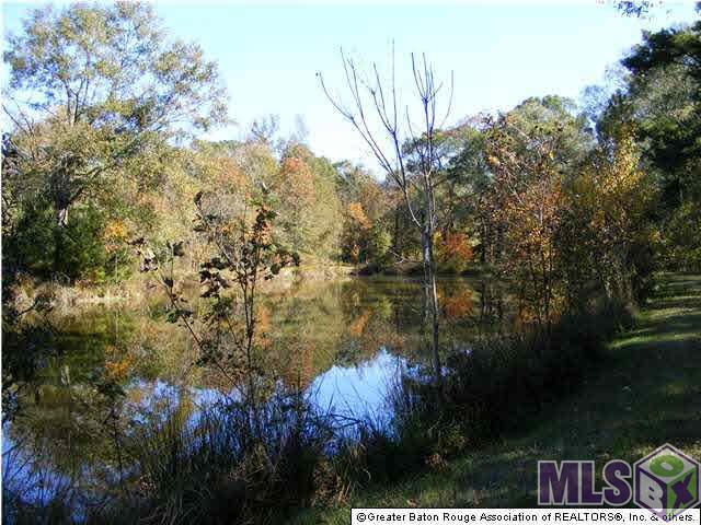 20750 Chaney Road Zachary, LA 70791 - Photo 2 of 2 Gallery Image 2