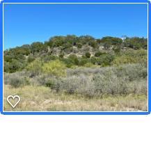 490 Lively Road Doss, TX 78618 - Photo 1 of 6 Main View