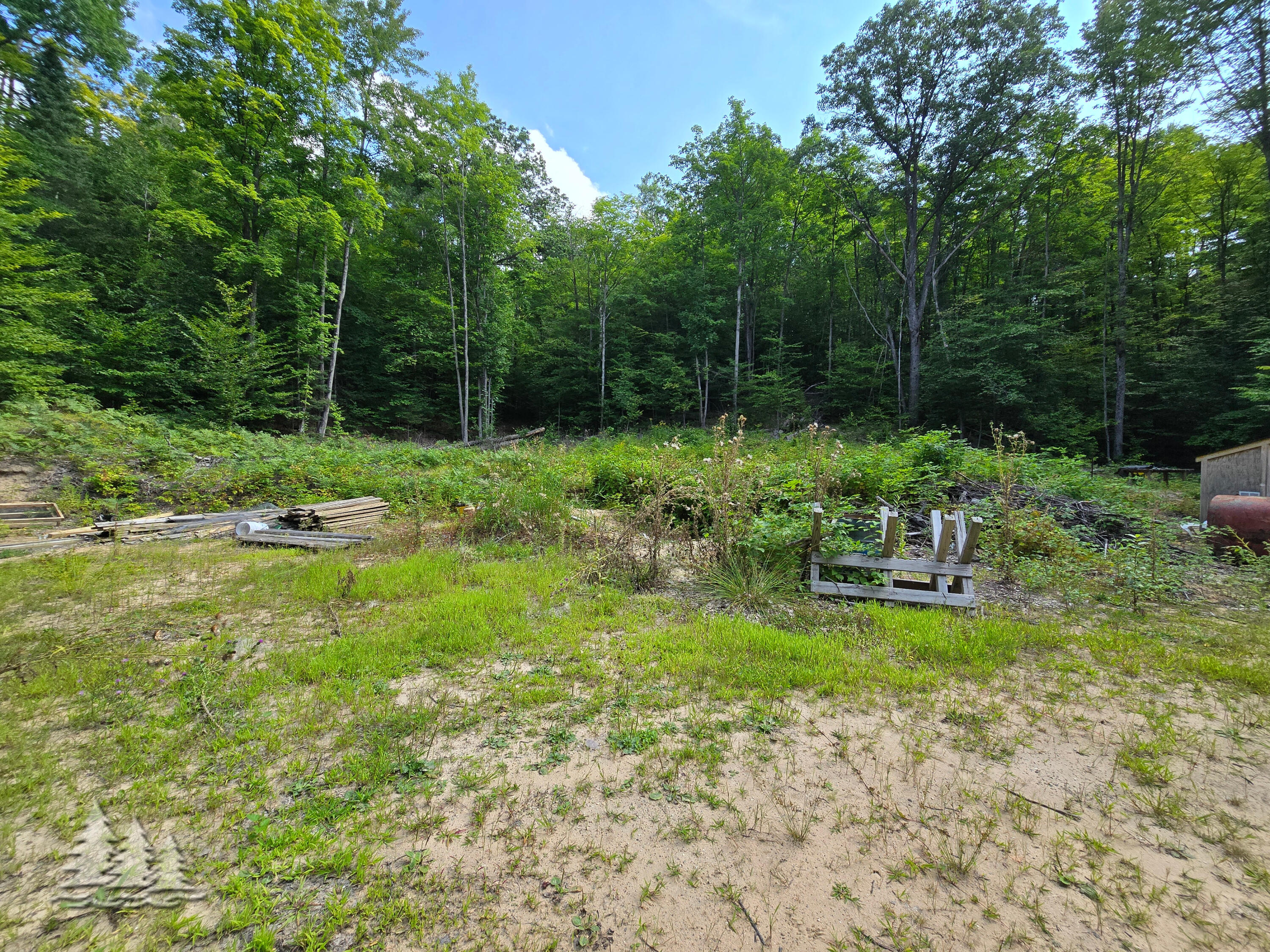 Mccormick Lake Road Atlanta, MI 49709 - Photo 5 of 17 Gallery Image 5