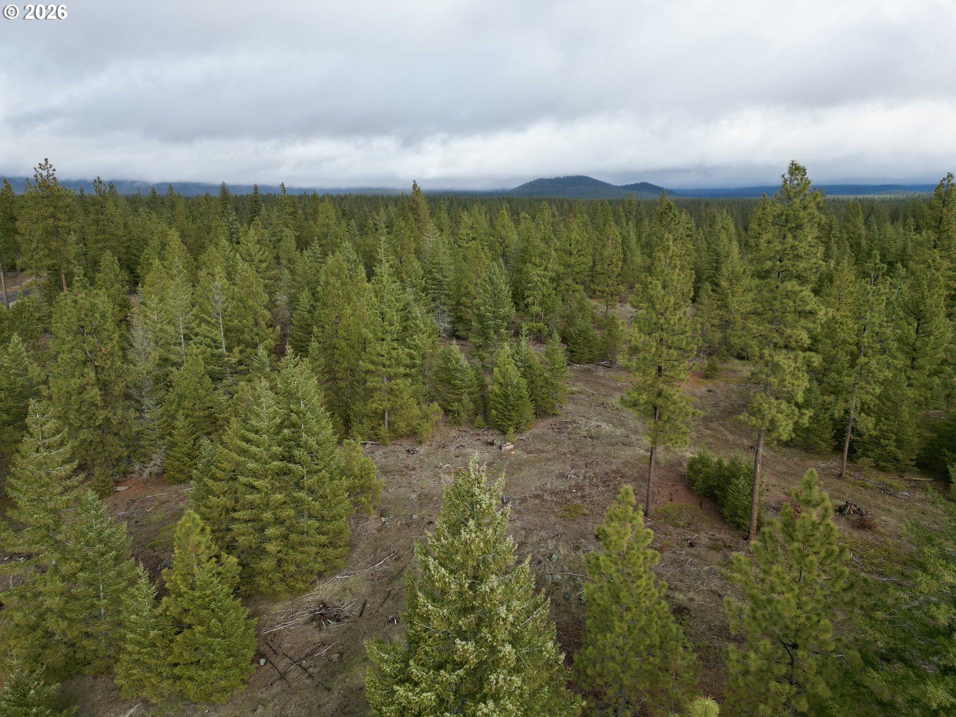Ranger Road, Unit 2 Goldendale, WA 98620 - Photo 11 of 23 a view of a city with lush green forest