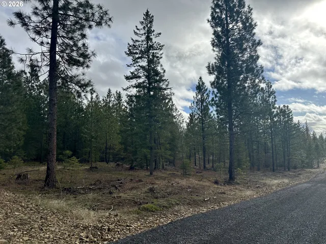 $195,000 | Ranger Road, Unit 2, Goldendale, WA 98620