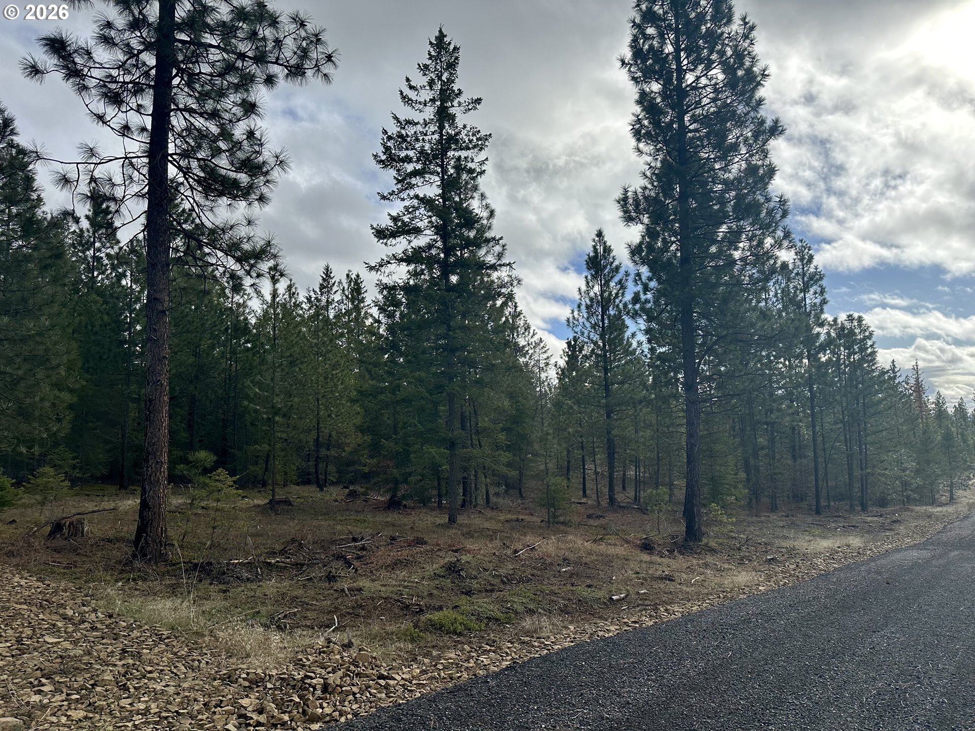 Ranger Road, Unit 2 Goldendale, WA 98620 - Photo 3 of 23 a view of a forest with trees in the background
