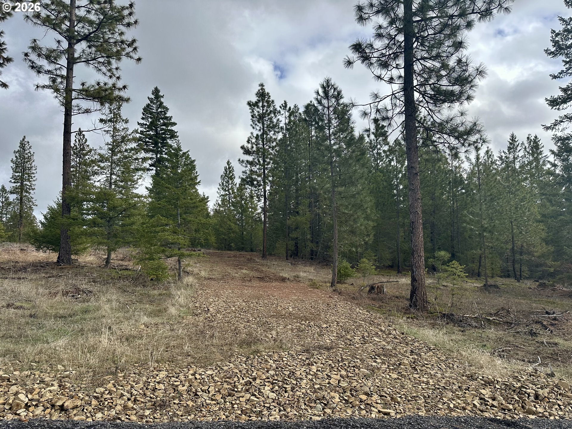Ranger Road, Unit 2 Goldendale, WA 98620 - Photo 4 of 23 a view of a forest