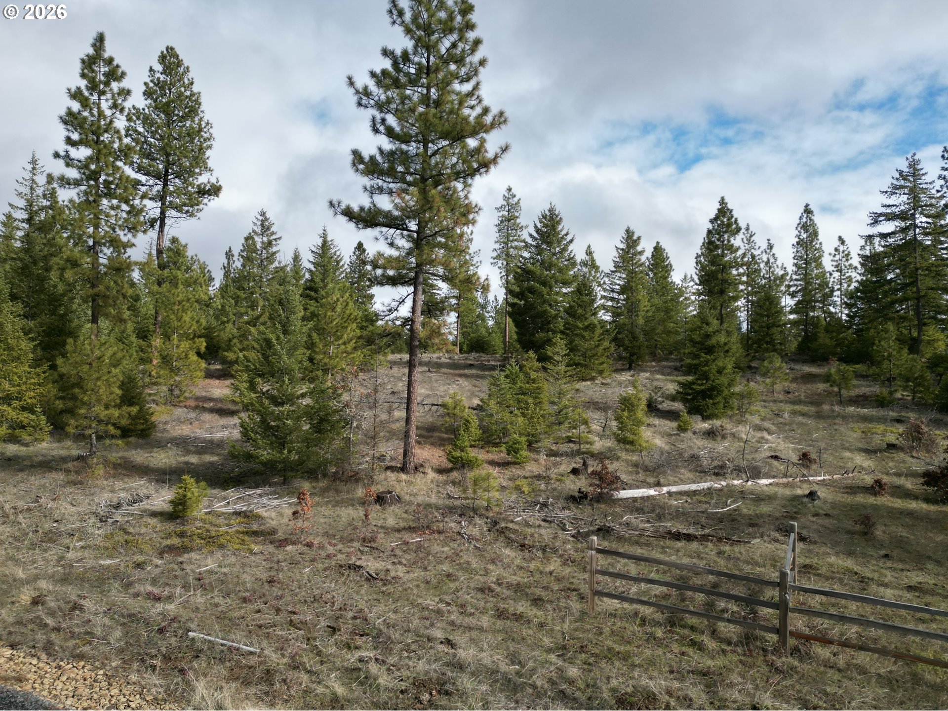Ranger Road, Unit 2 Goldendale, WA 98620 - Photo 6 of 23 a view of a forest with trees in the background
