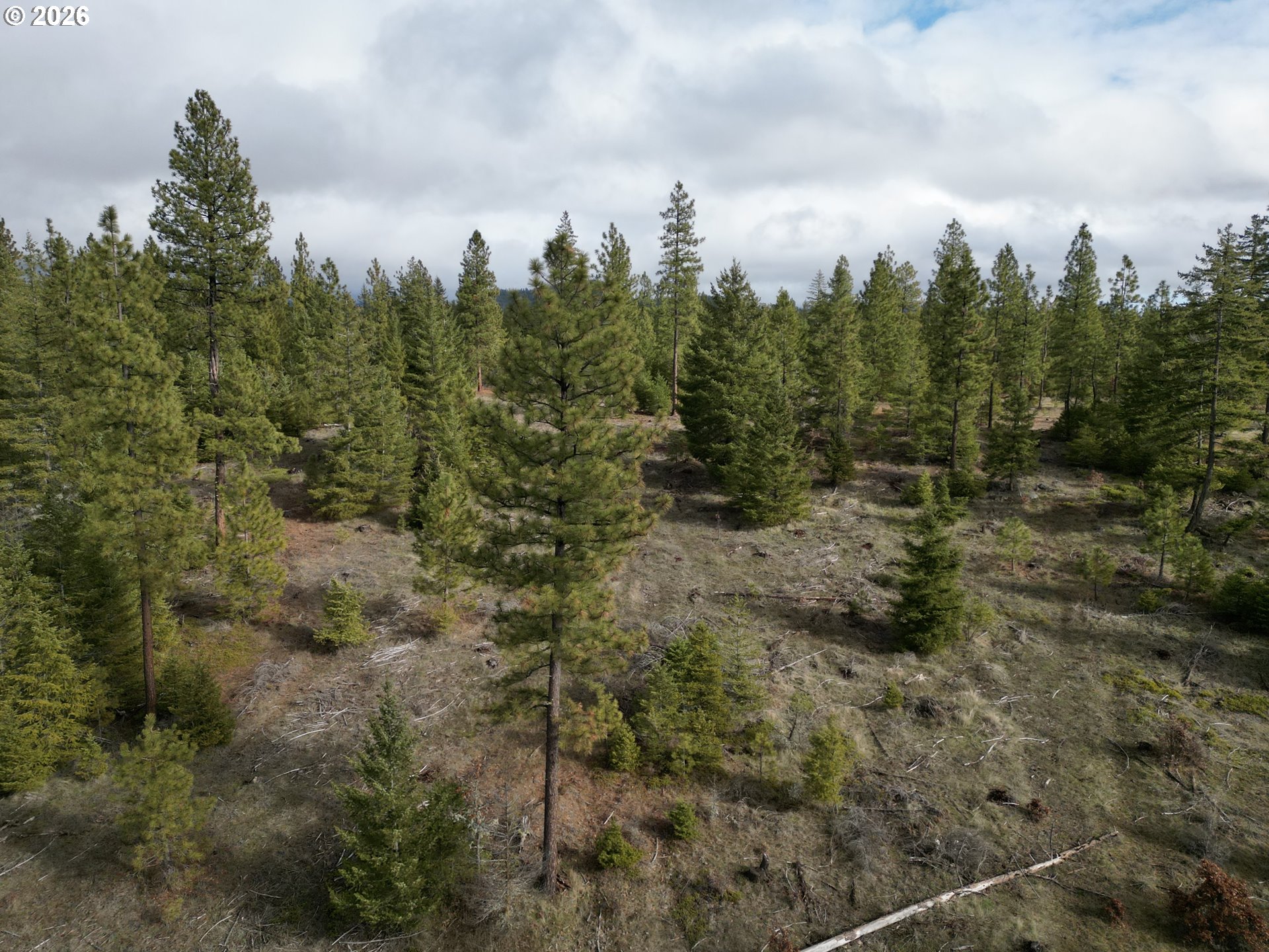 Ranger Road, Unit 2 Goldendale, WA 98620 - Photo 8 of 23 a view of a city with lush green forest