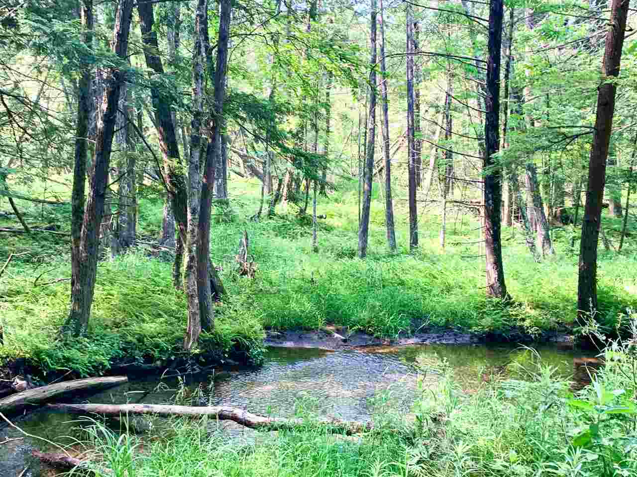 Tbd 7 Mile (86.47 Acres) Road Remus, MI 49340 - Photo 28 of 29