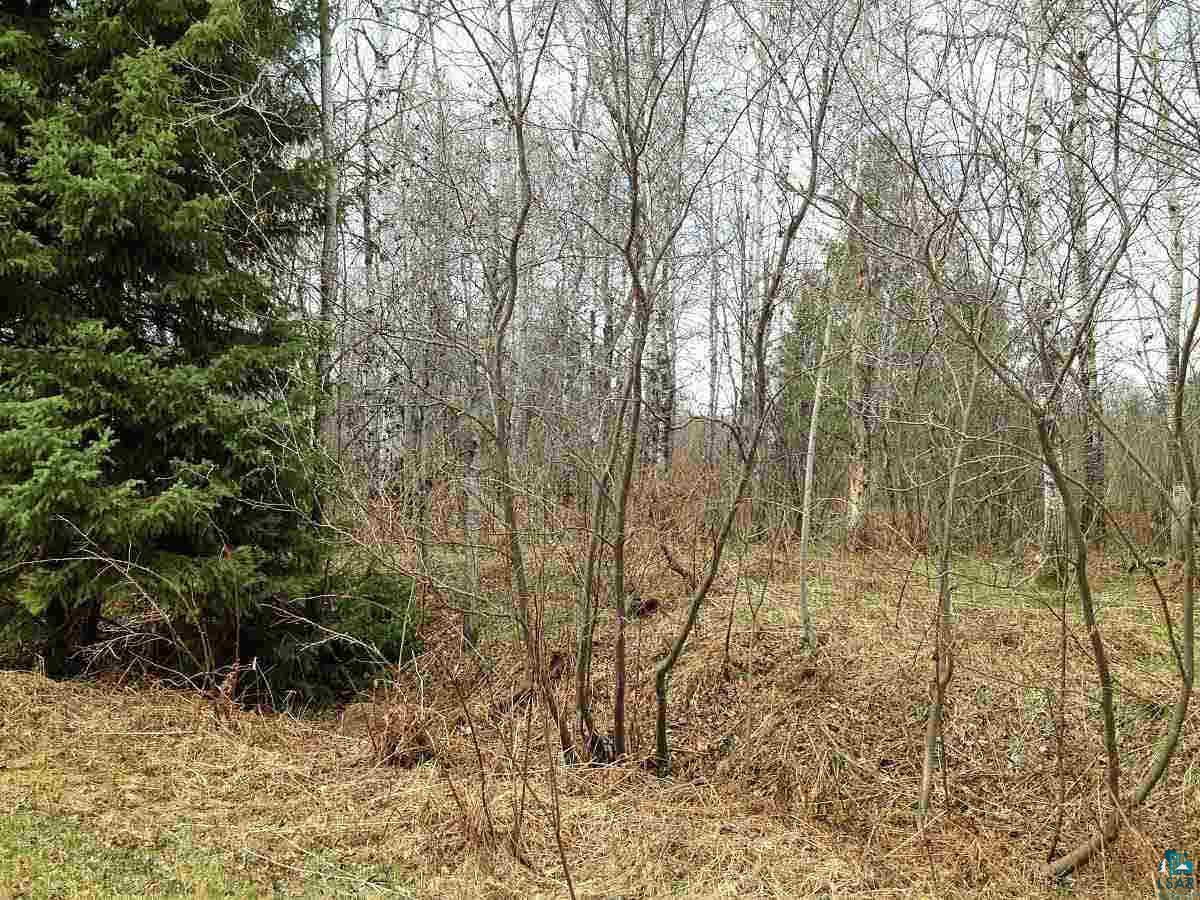 Xxx Stephans Road Iron River, WI 54847 - Photo 1 of 4 Gallery Image 1