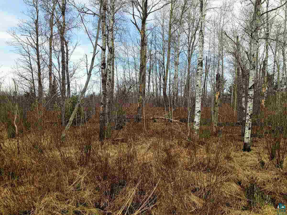 Xxx Stephans Road Iron River, WI 54847 - Photo 3 of 4 Gallery Image 3