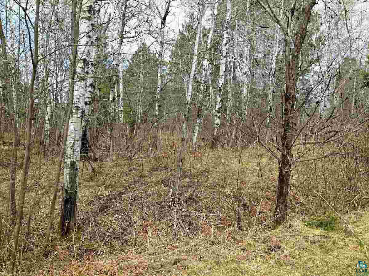 Xxx Stephans Road Iron River, WI 54847 - Photo 4 of 4 Gallery Image 4