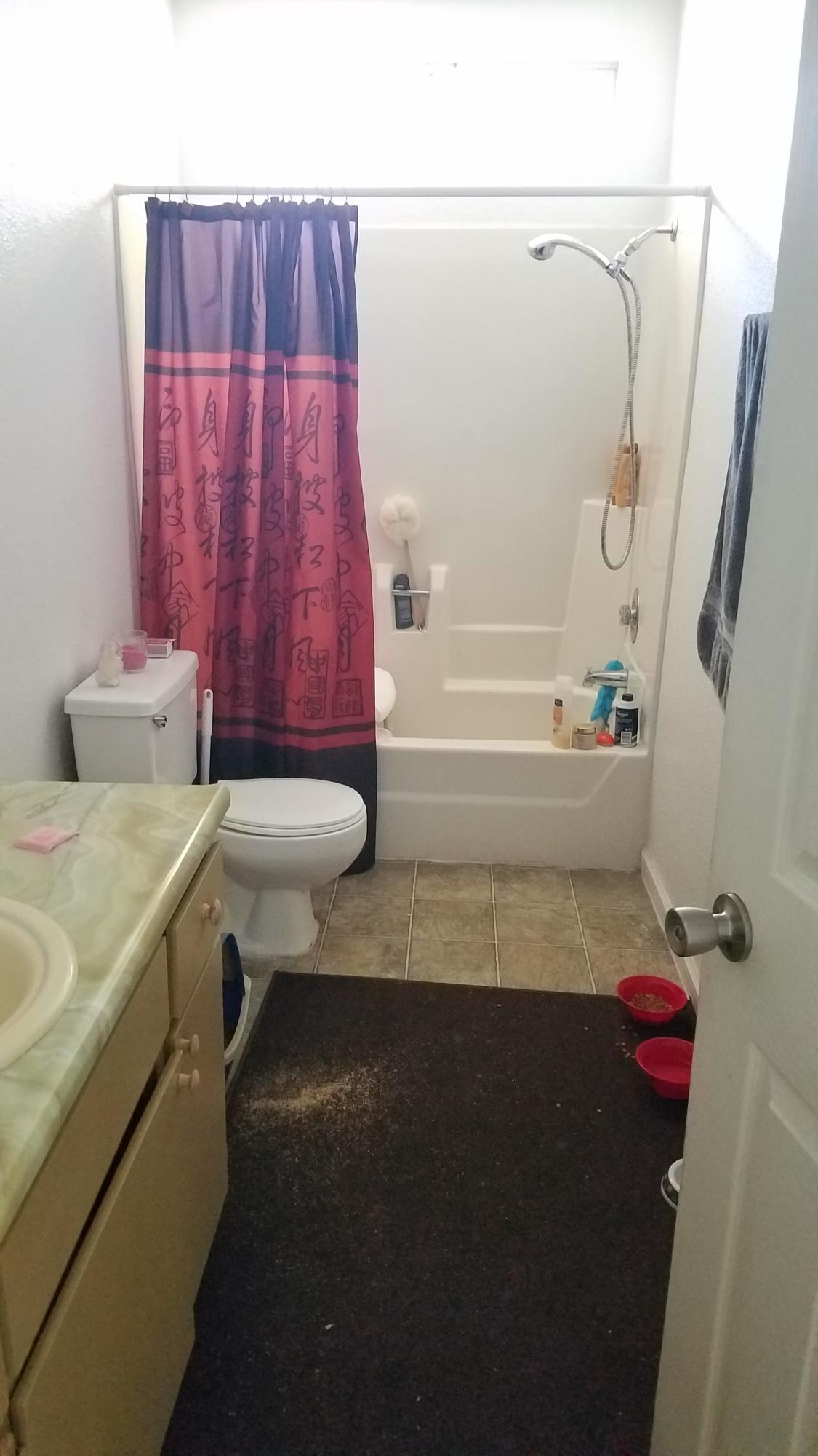 1179 Beltline Road Redding, CA 96003 - Photo 9 of 15 Hall Bath 1