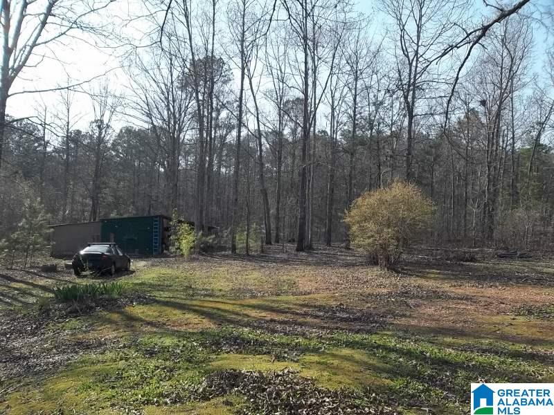 2792 County Road 3 Delta, AL 36258 - Photo 3 of 18