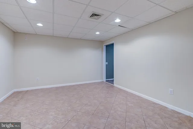 a view of a backyard with plants and a large tree