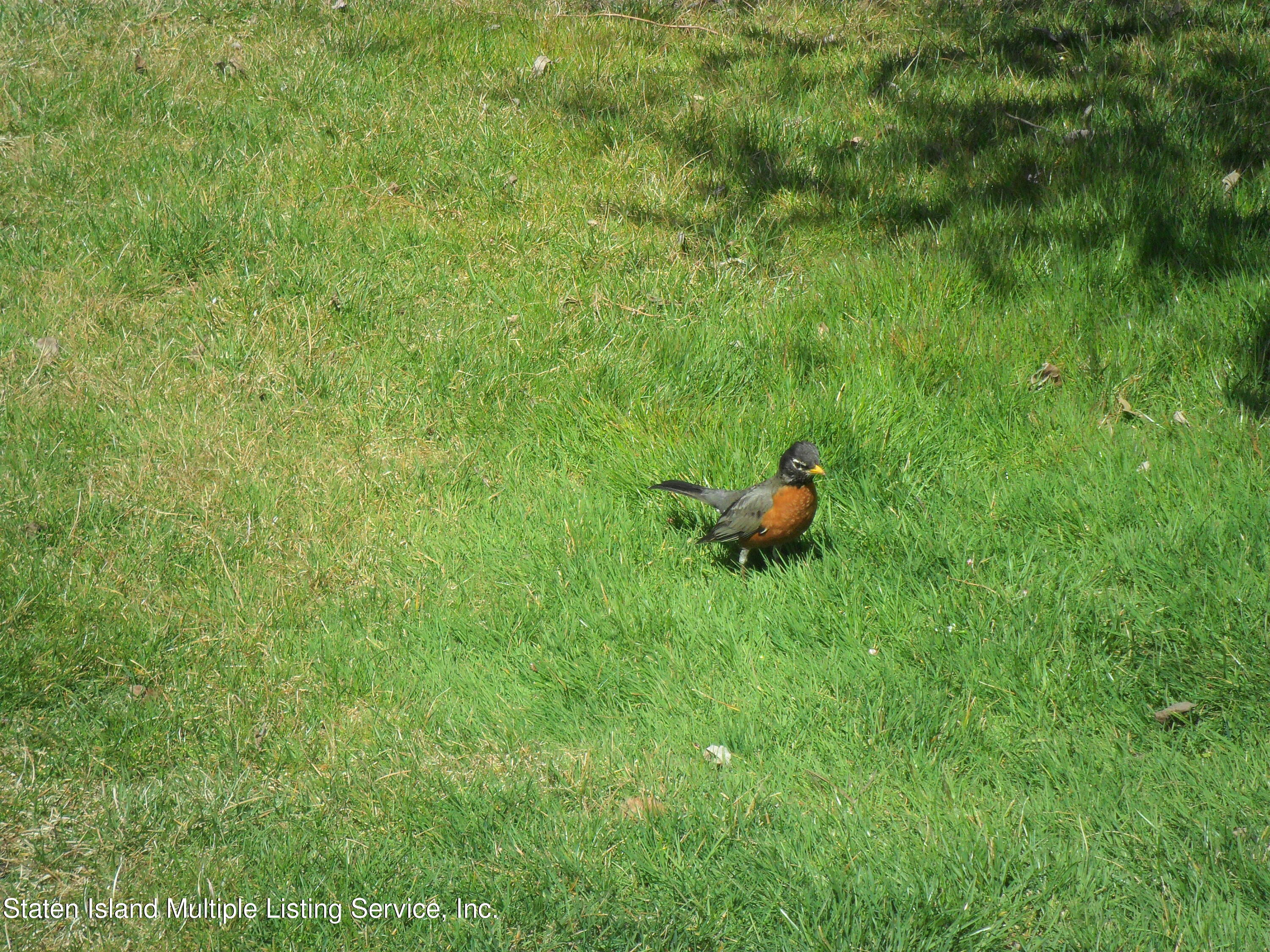 465 Willow Road East, Unit 2 Staten Island, NY 10314 - Photo 51 of 54 SAM_3271