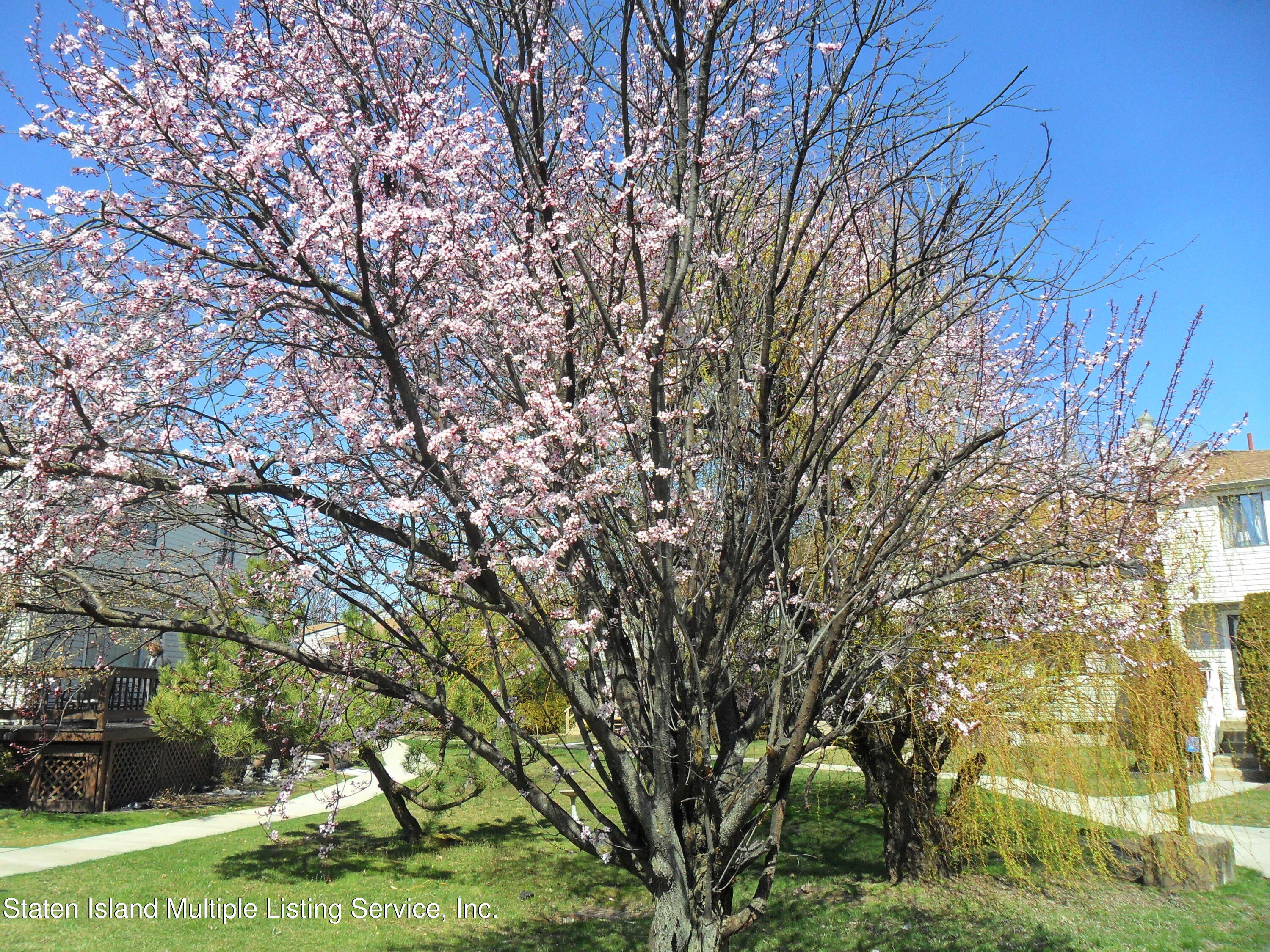 465 Willow Road East, Unit 2 Staten Island, NY 10314 - Photo 52 of 54 SAM_3272