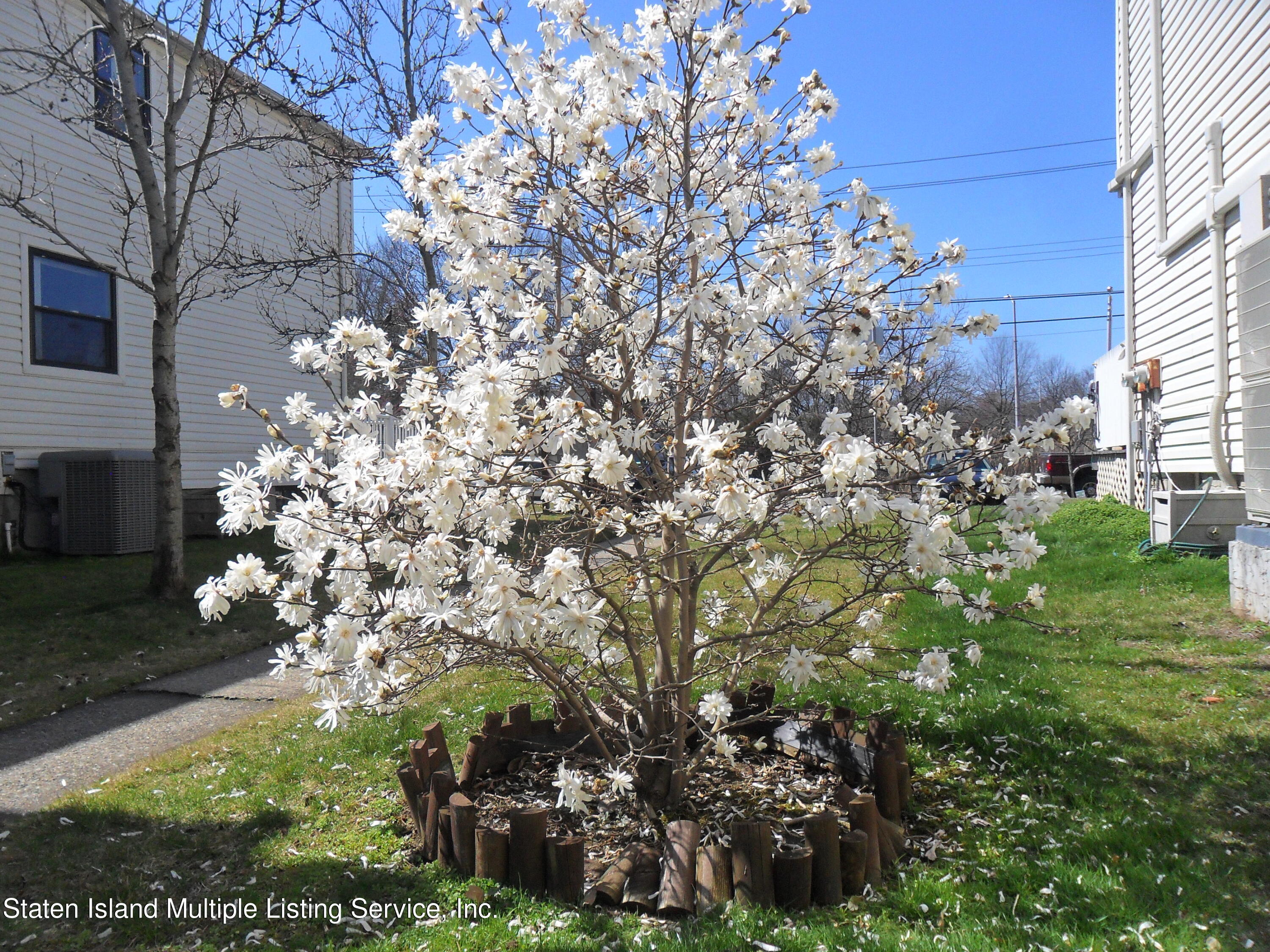 465 Willow Road East, Unit 2 Staten Island, NY 10314 - Photo 54 of 54 SAM_3274