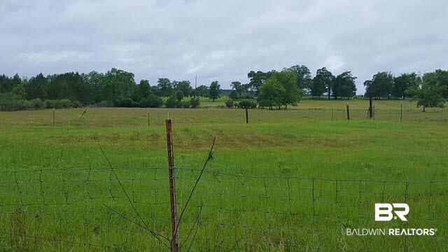 45775 Phillipsville Road Bay Minette, AL 36507 - Photo 8 of 9