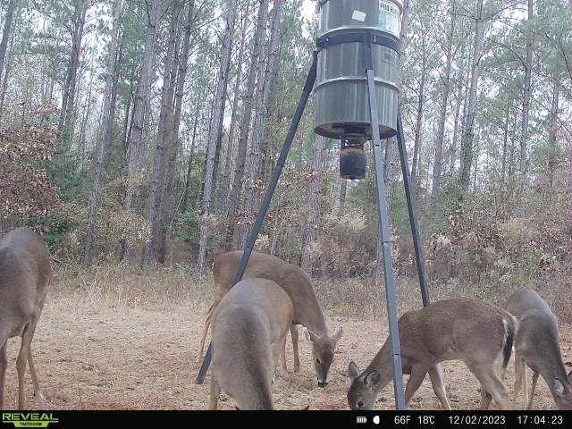 0 North Indian Trail Road Sandersville, GA 31082 - Photo 8 of 26