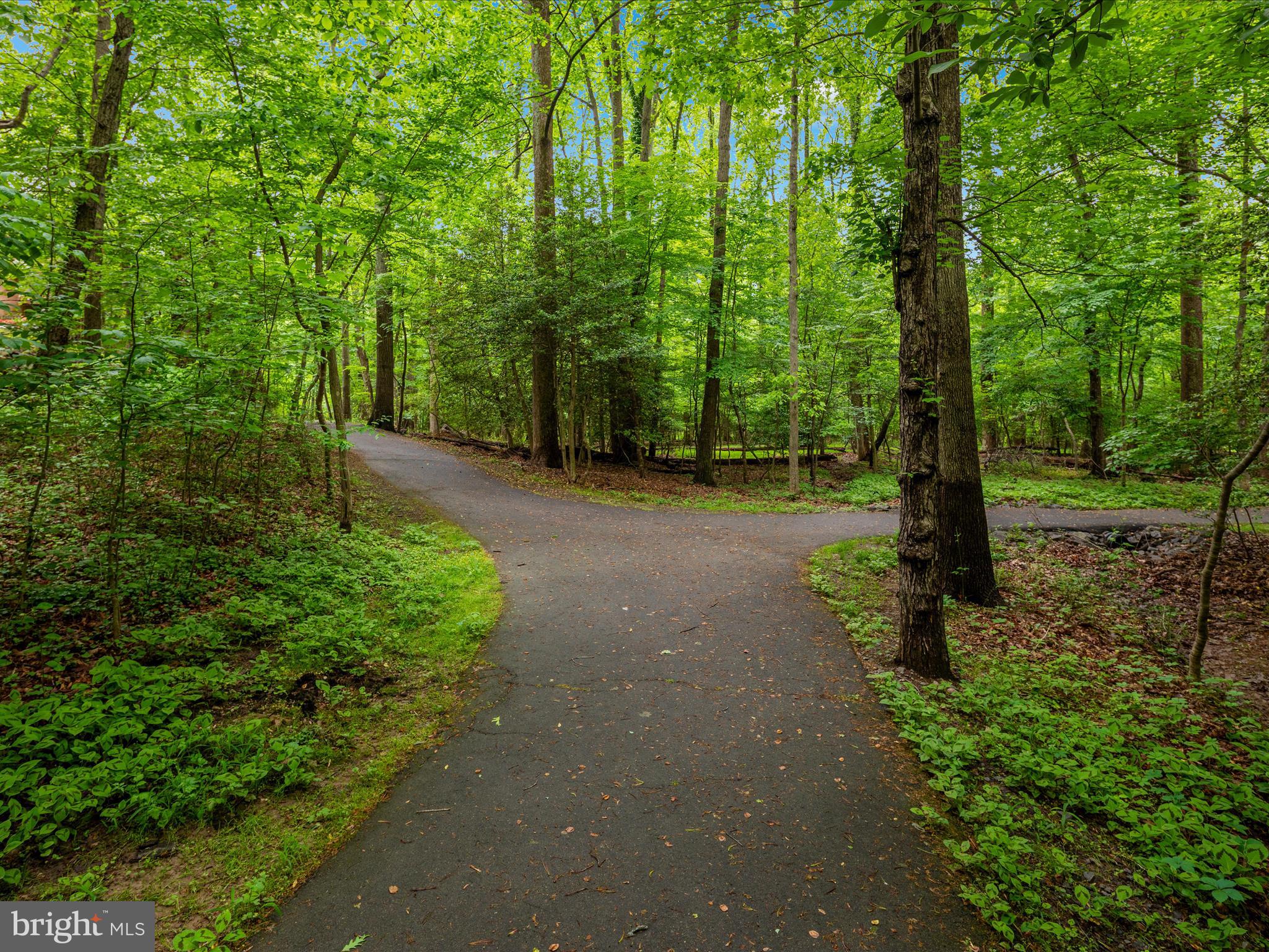 2272 Gunsmith Square Reston, VA 20191 - Photo 31 of 63 a view of a forest with trees in the background